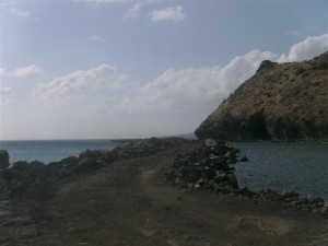 Rollei